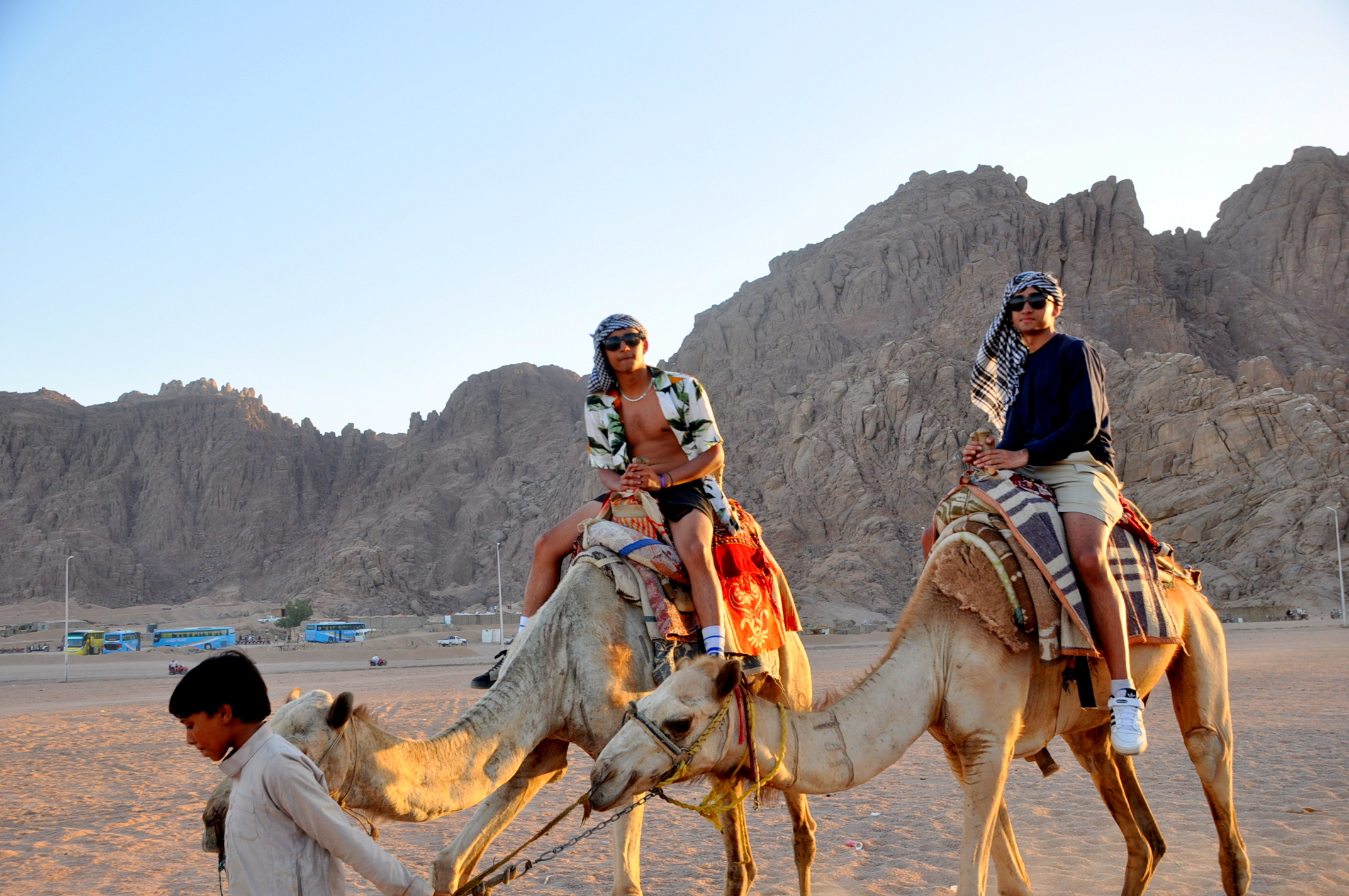 Safari 5 in 1 Desert excursion - Quad, Camel, Dinner, Show & Star Gazing