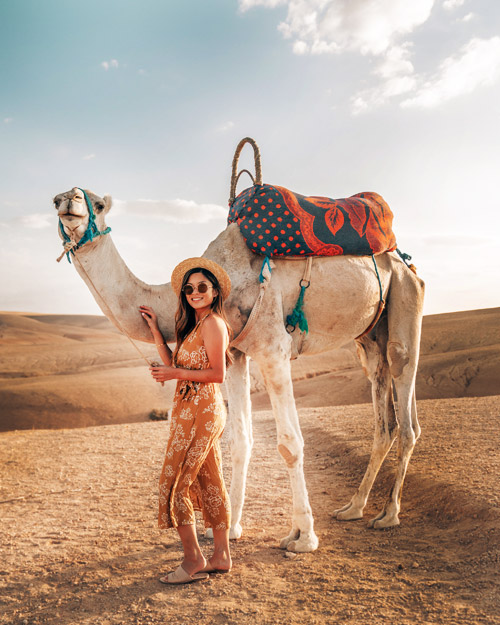 Camel Riding with Bedouin Tea